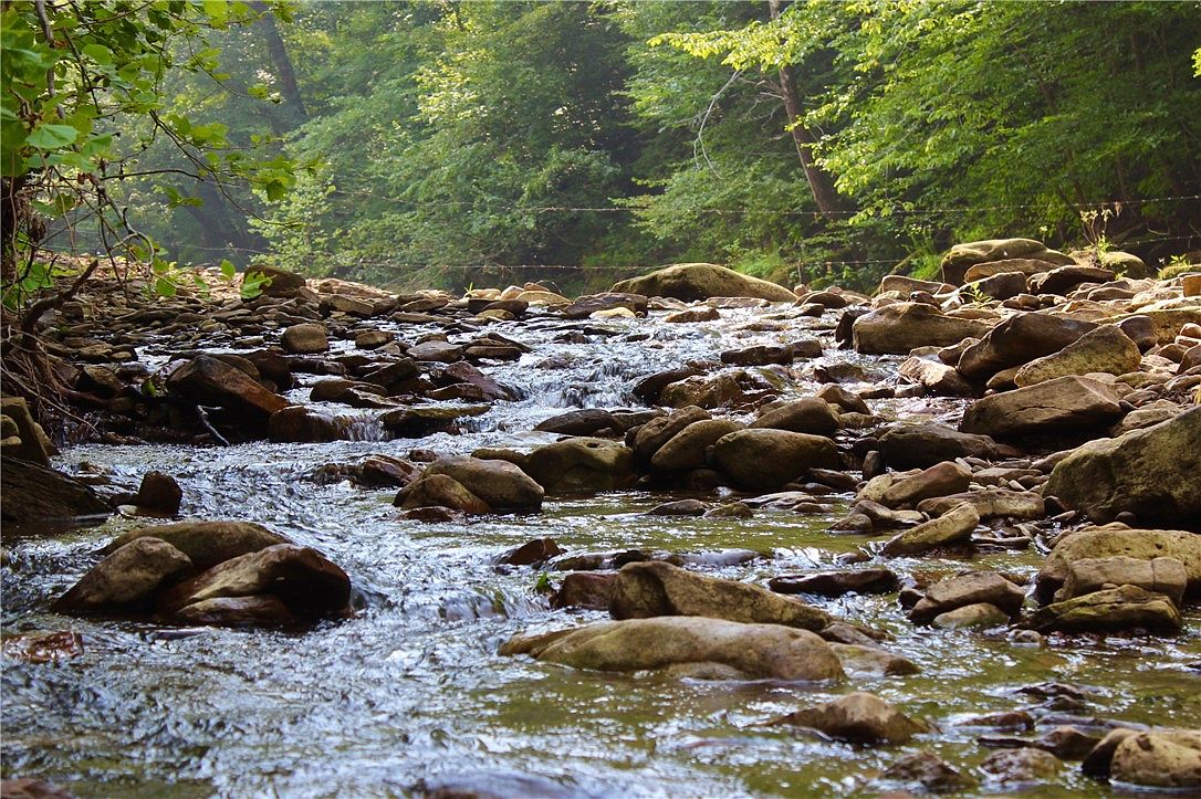 369 Madison 3370, Witter, AR 72776 Zillow