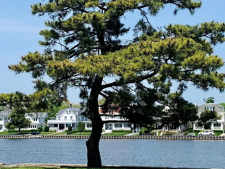 500 Deal Lake Dr — Photo 40