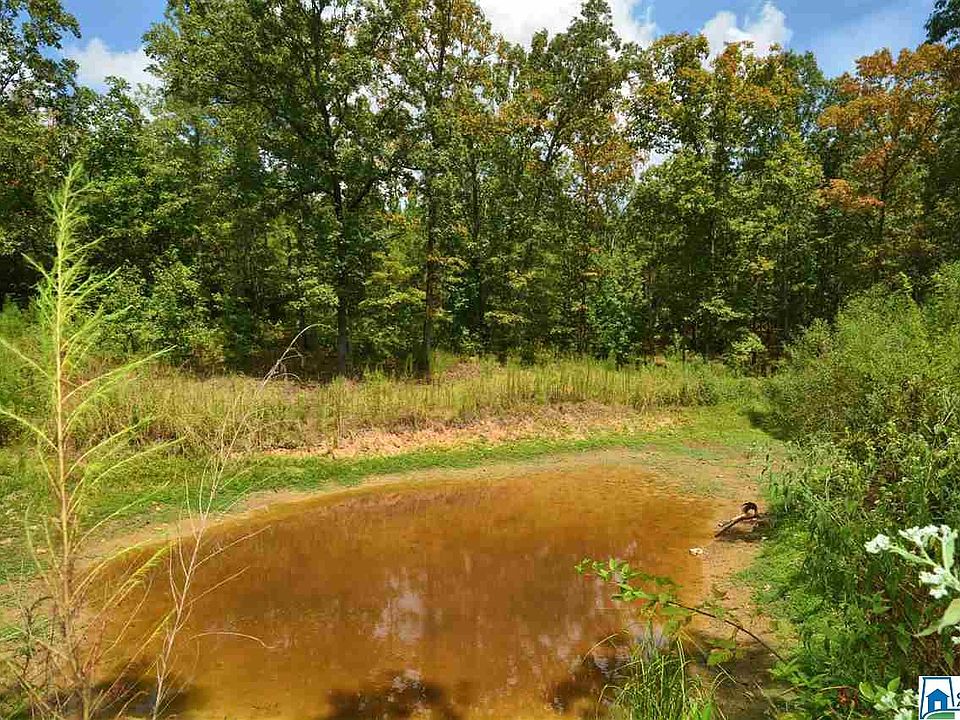 2nd image of 2976 Joinertown Rd
