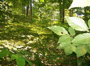 216 Cass Hill Rd, Candor, NY 13743