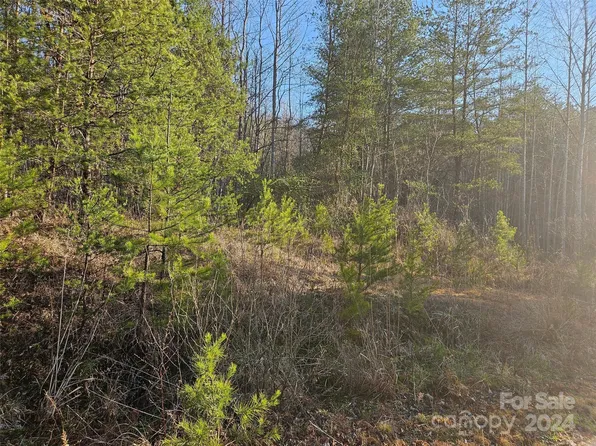 0 Gold Creek Point #9, Union Mills, NC 28167