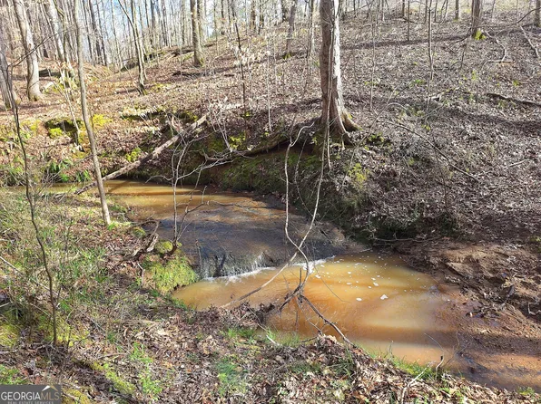 TRACT 4 Highway 16 W, Monticello, GA 31064