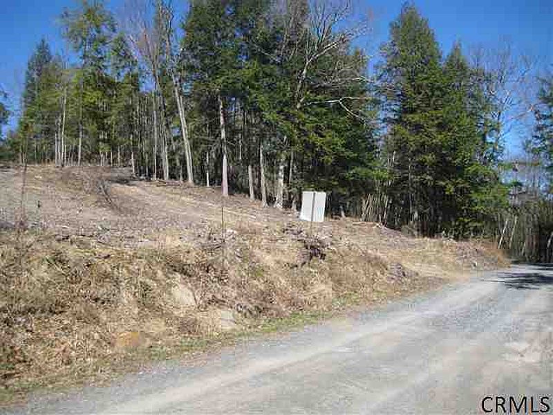 2nd image of 0 BURNT HILL Road