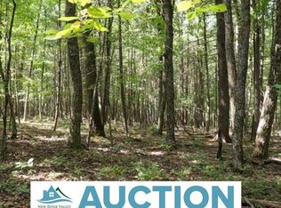 Tbd Sunny Ridge Rd, Check, VA 24072