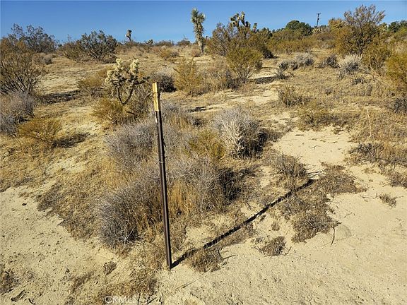 5th image of 5 Mojave Tropico Rd