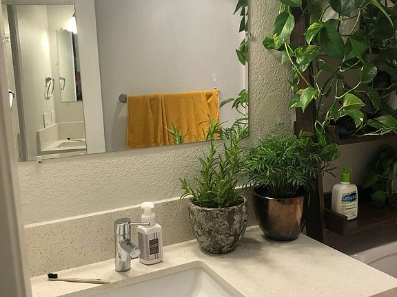 5th image of 4227 36th St APT 4