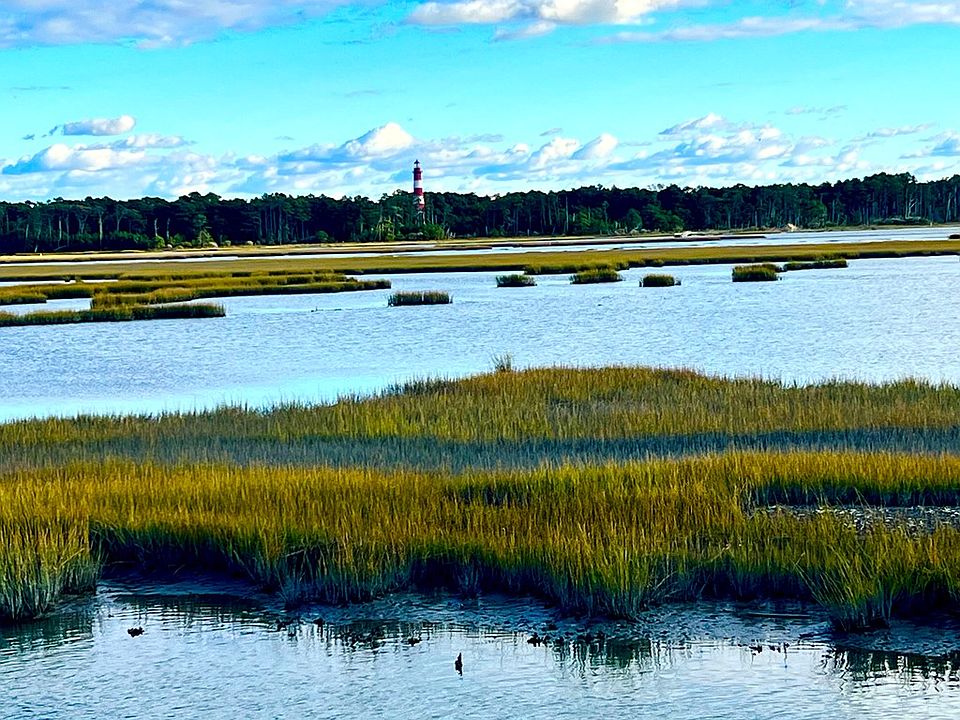 7159 Piney Island Rd, Chincoteague Island, VA 23336 Zillow
