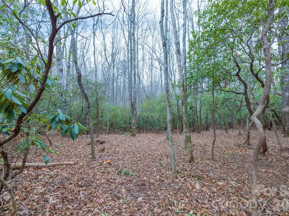 TRACT 1 Turtle Ridge Trl, Mills River, NC 28759