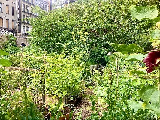 Rented by Corcoran | media 16