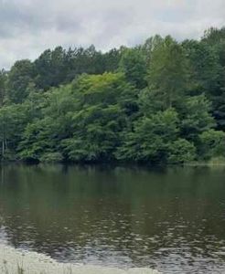 11 Laura Vannoy Trl, Nathalie, VA, 24577