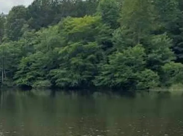 11 Laura Vannoy Trl, Nathalie, VA 24577