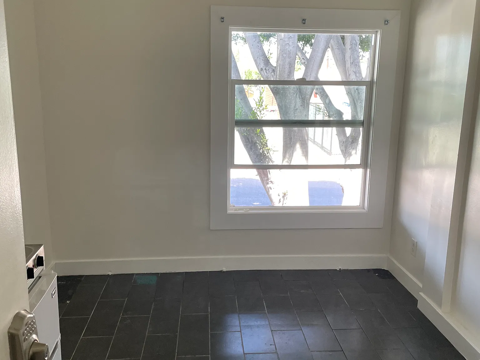 Studio, $800 — Photo 1