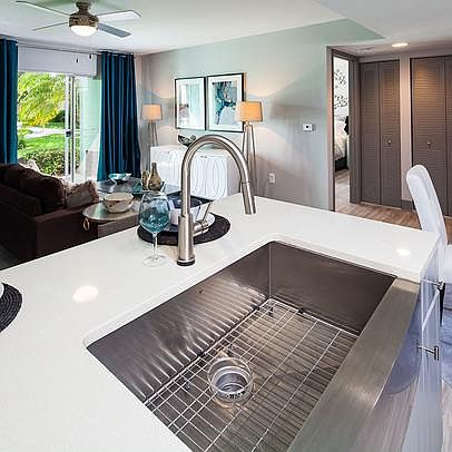 Kitchen sink, faucet and counter example
