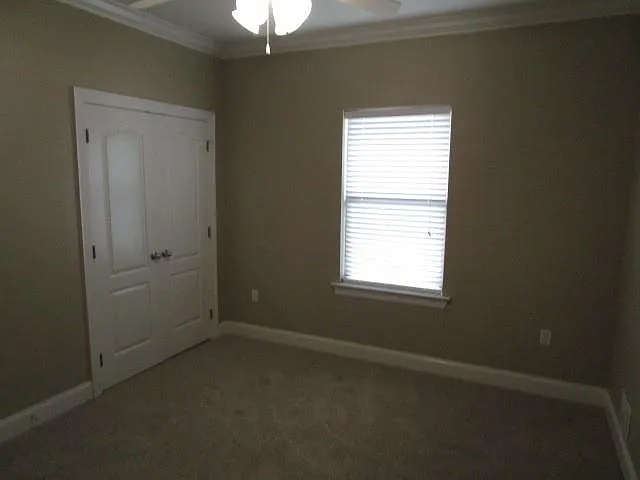 201 Old Mill Loop — Photo 11