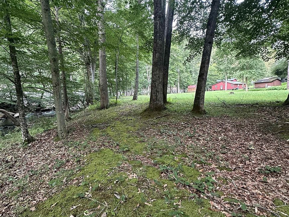 43rd image of 856 Removal Rd