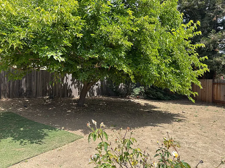 536 Longridge Dr — Photo 14