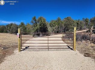 3152 Indian Wells Rd, Cotopaxi, CO