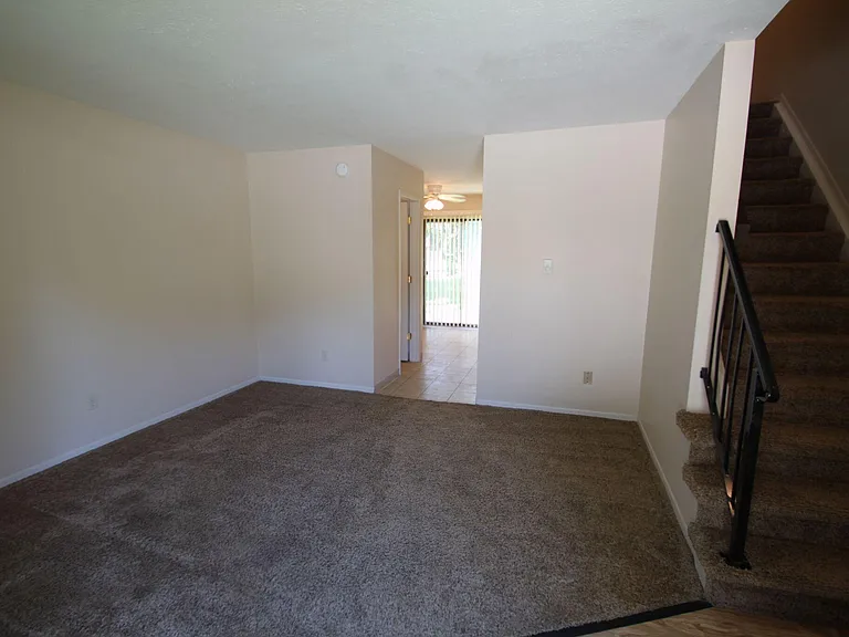 Forrest Bluff — Photo 19