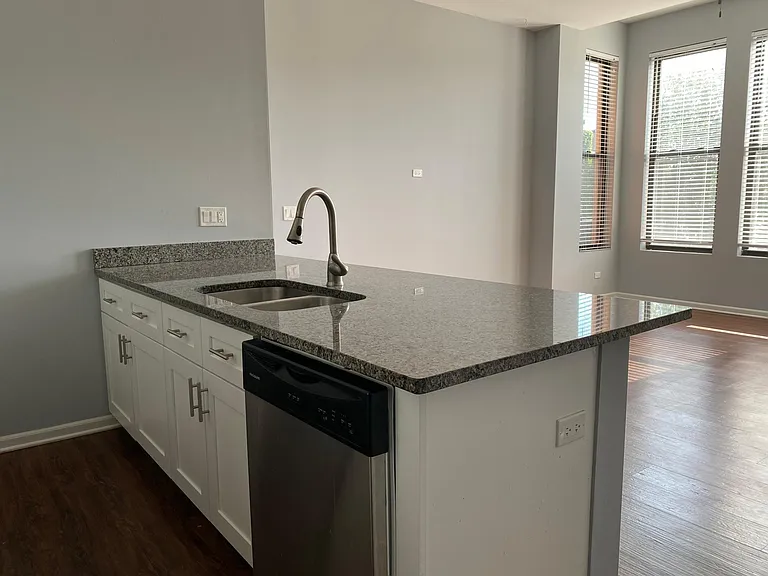 1057 W Grand Ave #4S — Photo 2
