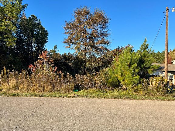 3rd image of 145 County Road 3479a Lot 12