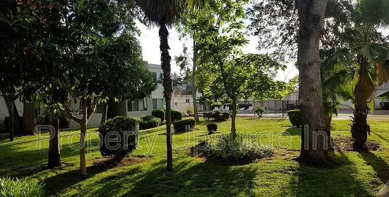The Palms — Photo 13