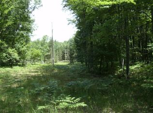 4168 W 9 Mile Rd, Irons, MI 49644