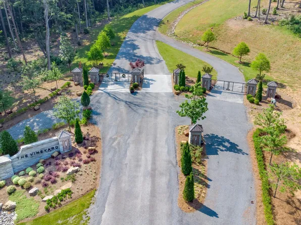 248 Vineyard At Yukon, Ellijay, GA 30540
