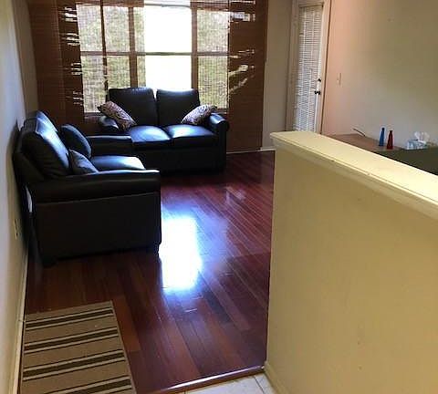 5th image of 1401 S Palmetto Ave APT 702