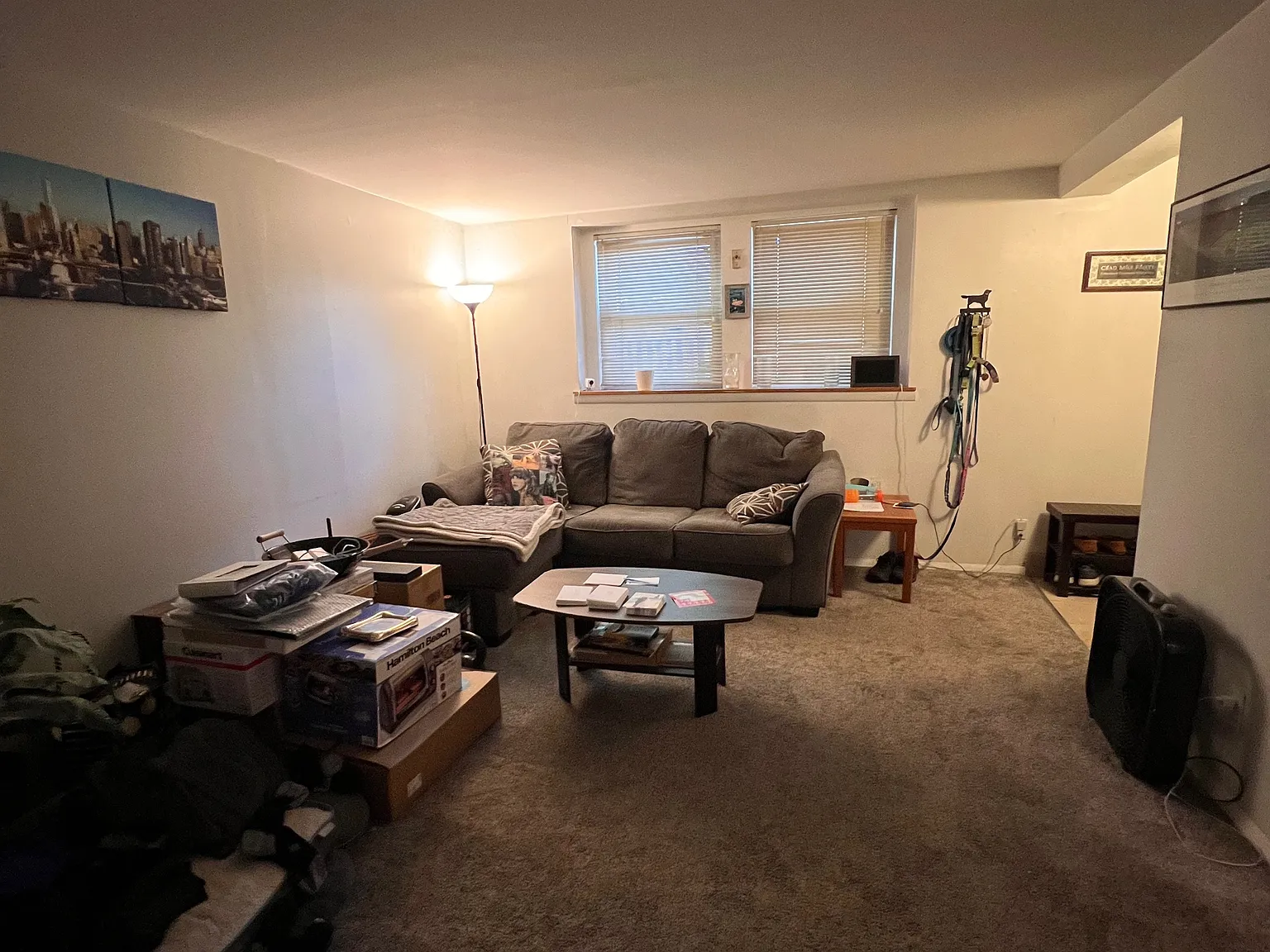 1 bed, 800 sqft, $1,500 — Photo 3