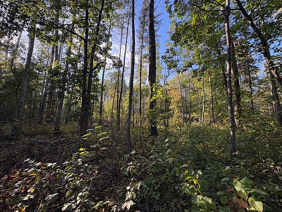 2nd image of Tbd Evergreen Dr