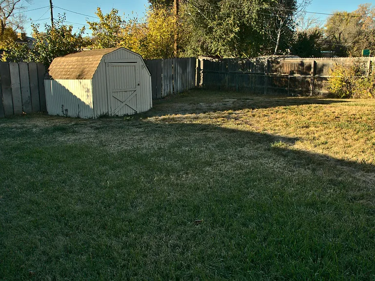 Back yard lawn and shed