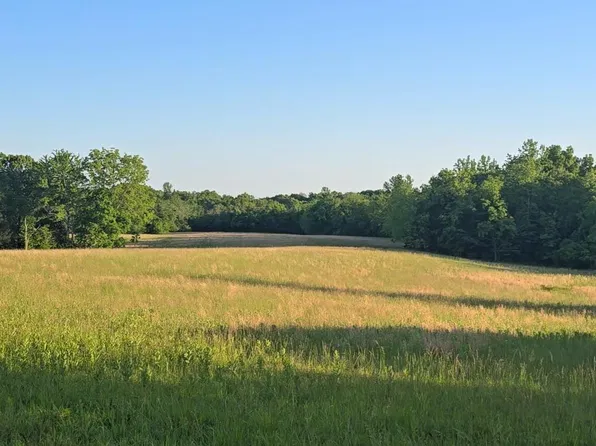 0 Tunnel Hill Rd, Goreville, IL 62939