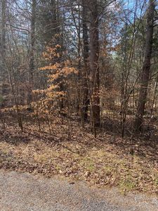 LOT 20 N Fork Dr, Burnside, KY, 42519
