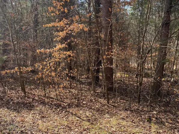 LOT 20 N Fork Dr, Burnside, KY 42519