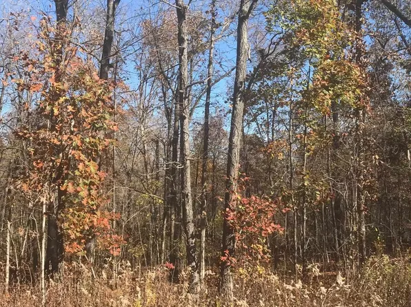 Highway 63 E, Williford, AR 72482