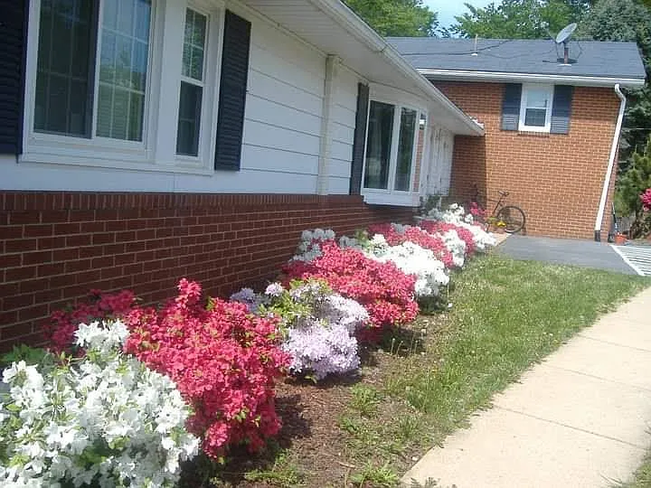 8615 Hilltop Rd — Photo 2