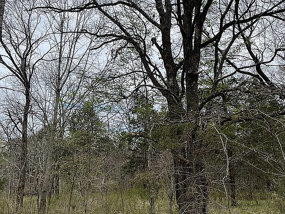 3rd image of 161427 N 4334 Rd Lot 22