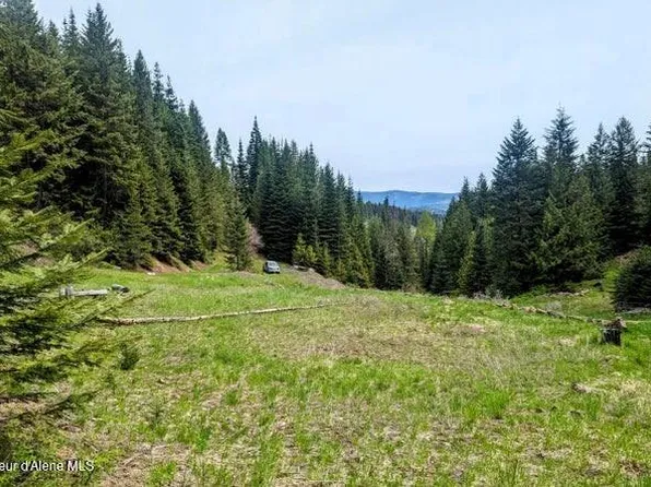 Nka Gold Ridge Rd, Saint Maries, ID 83861