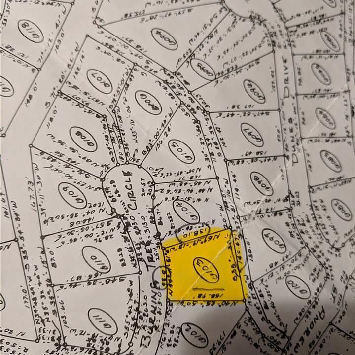 2nd image of 6103 Burning Tree Cir