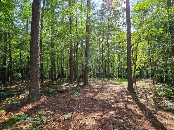 463 Bandarra Ln, Murray, KY 42071