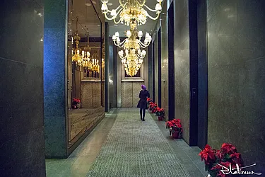 Rented by Platinum Properties