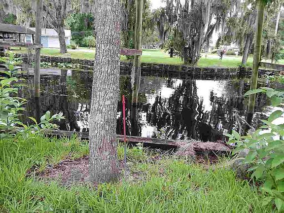 4th image of 115 Riverview Cir