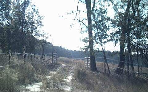 2nd image of 111 Sheep Creek Rd