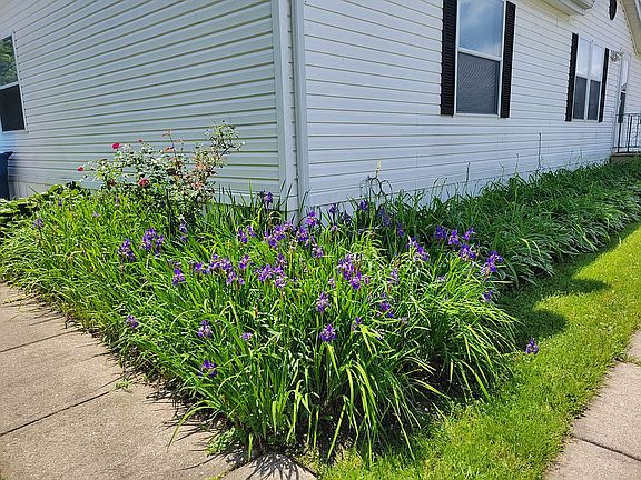 Nice Garden of  Flowers