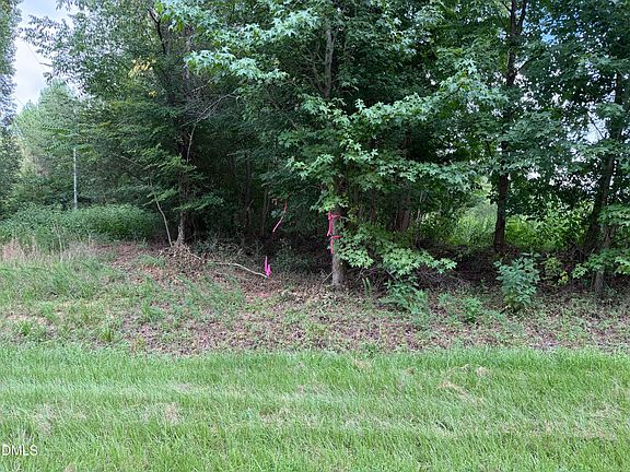 3rd image of 0 Chatham Church Rd Lot Newtract1
