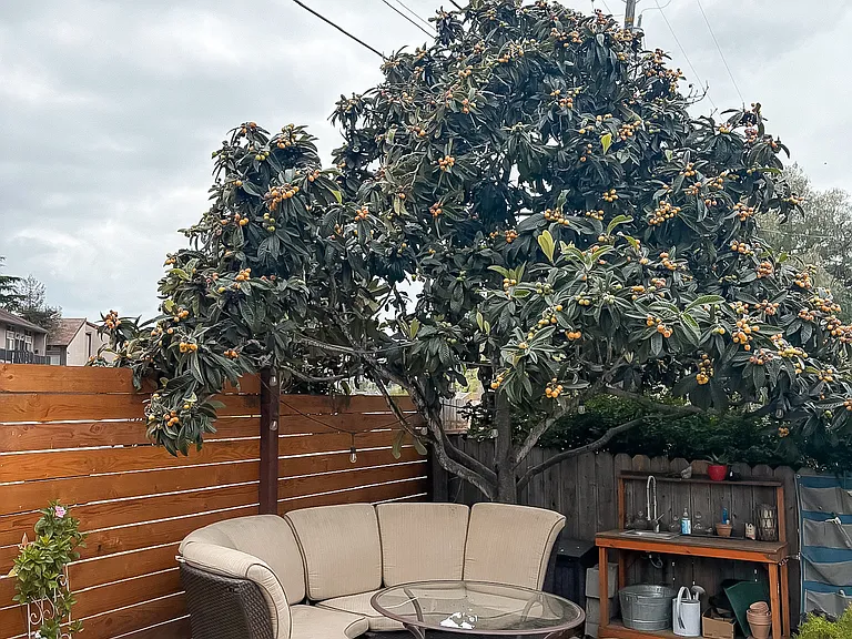 1278 Phillips Ln — Photo 22