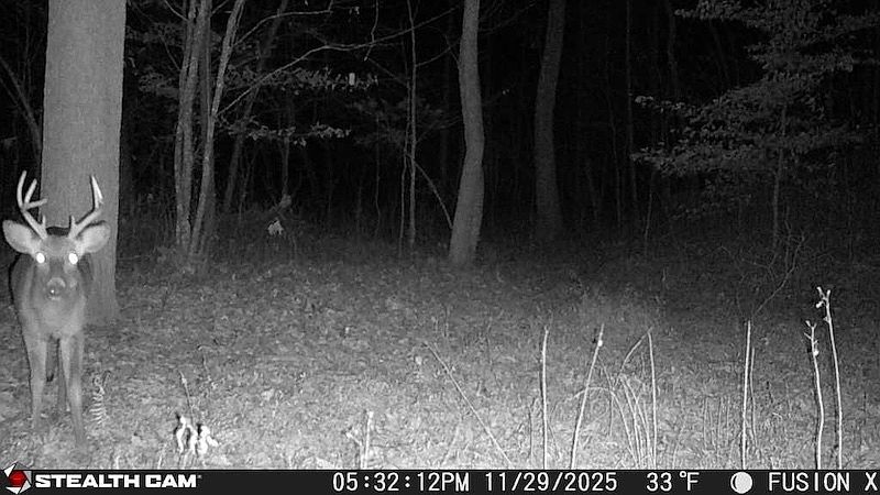 1st image of Webster Rd Lot Wp001