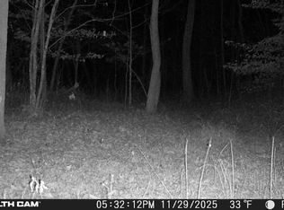 Webster Rd LOT WP001, Glade Hill, VA 24092