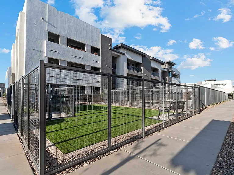 Dog Park