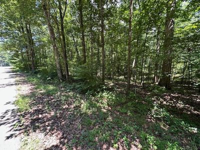 10 Beaverdam Cabin Rd, Camden, TN, 38320